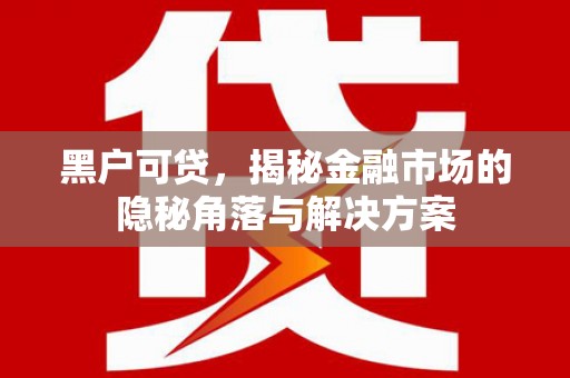 朔州黑户可贷，揭秘金融市场的隐秘角落与解决方案