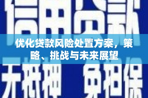 朔州优化贷款风险处置方案，策略、挑战与未来展望