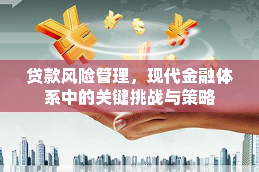 朔州贷款风险管理，现代金融体系中的关键挑战与策略