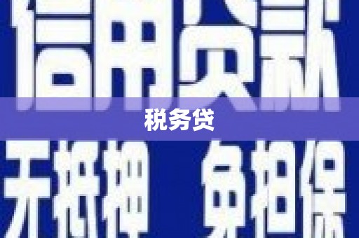朔州税务贷