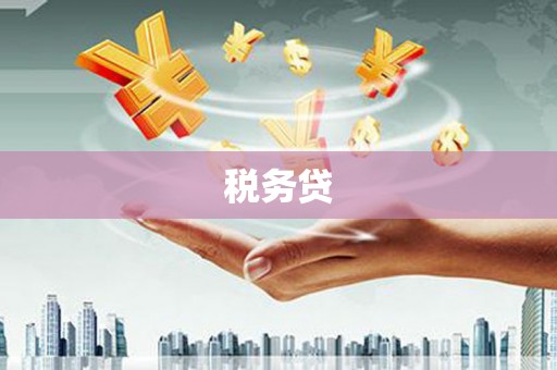 朔州税务贷