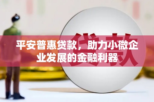 朔州平安普惠贷款，助力小微企业发展的金融利器