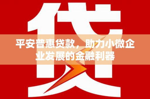 朔州平安普惠贷款，助力小微企业发展的金融利器