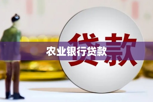 朔州农业银行贷款