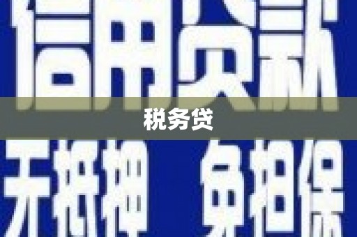 朔州税务贷