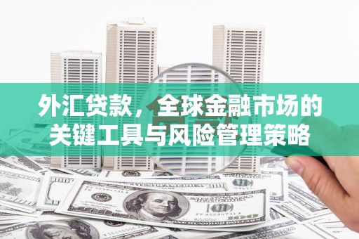 朔州外汇贷款，全球金融市场的关键工具与风险管理策略