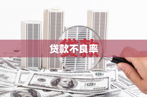朔州贷款不良率