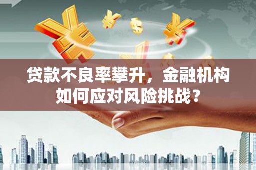 朔州贷款不良率攀升，金融机构如何应对风险挑战？