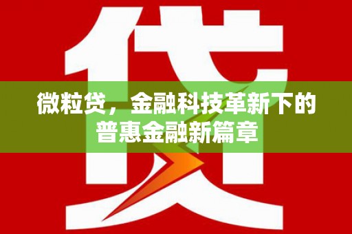 朔州微粒贷，金融科技革新下的普惠金融新篇章
