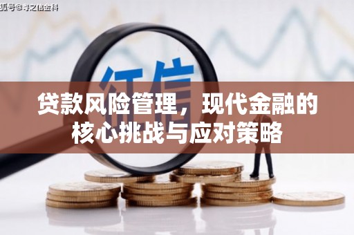 朔州贷款风险管理，现代金融的核心挑战与应对策略