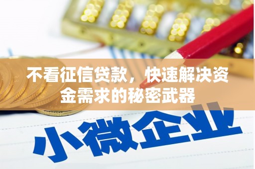 朔州不看征信贷款，快速解决资金需求的秘密武器