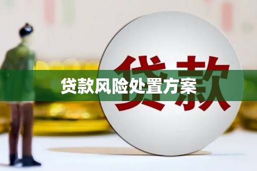朔州贷款风险处置方案