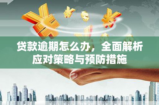朔州贷款逾期怎么办，全面解析应对策略与预防措施