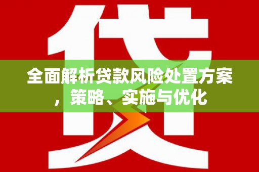 朔州全面解析贷款风险处置方案，策略、实施与优化