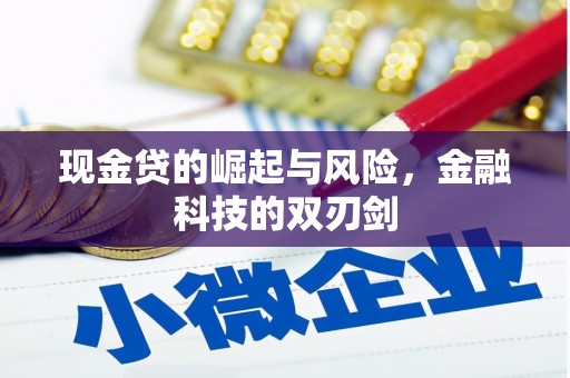 朔州现金贷的崛起与风险，金融科技的双刃剑