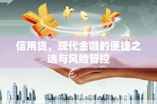 朔州信用贷，现代金融的便捷之选与风险管控