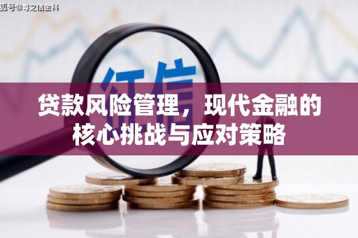 朔州贷款风险管理，现代金融的核心挑战与应对策略