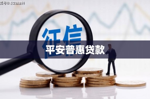 朔州平安普惠贷款