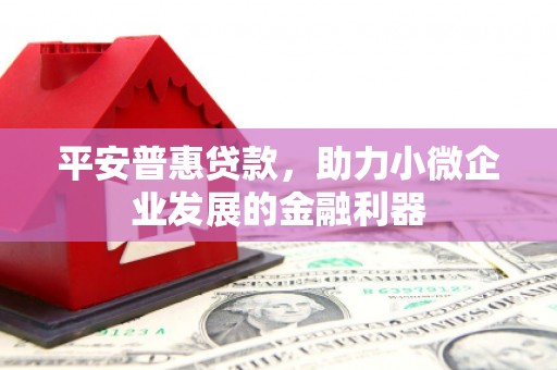 朔州平安普惠贷款，助力小微企业发展的金融利器