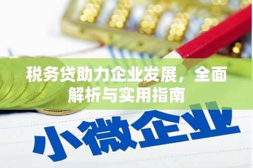 朔州税务贷助力企业发展，全面解析与实用指南