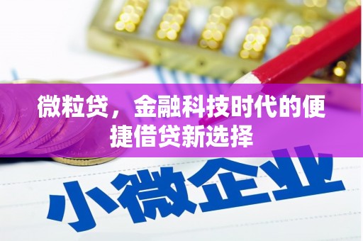朔州微粒贷，金融科技时代的便捷借贷新选择