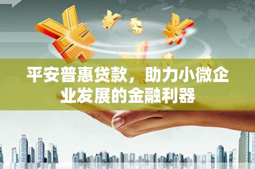 朔州平安普惠贷款，助力小微企业发展的金融利器